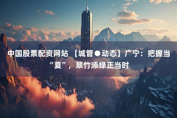 中国股票配资网站 【城管●动态】广宁：把握当“夏”，翠竹添绿正当时