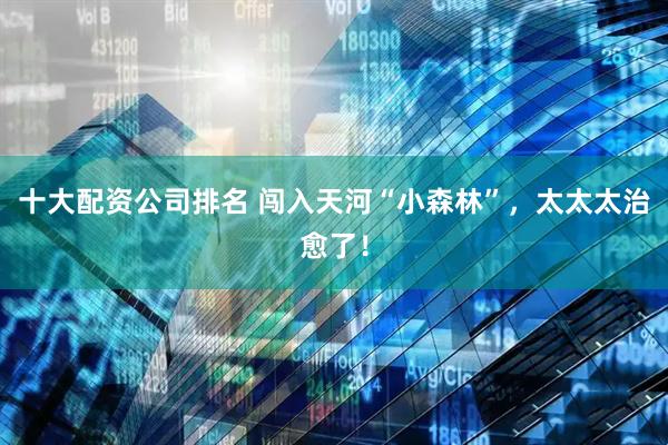 十大配资公司排名 闯入天河“小森林”，太太太治愈了！