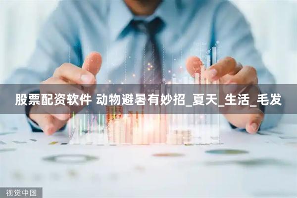 股票配资软件 动物避暑有妙招_夏天_生活_毛发