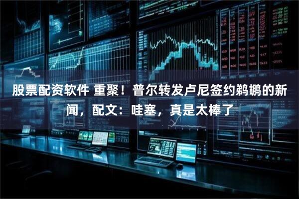股票配资软件 重聚！普尔转发卢尼签约鹈鹕的新闻，配文：哇塞，真是太棒了